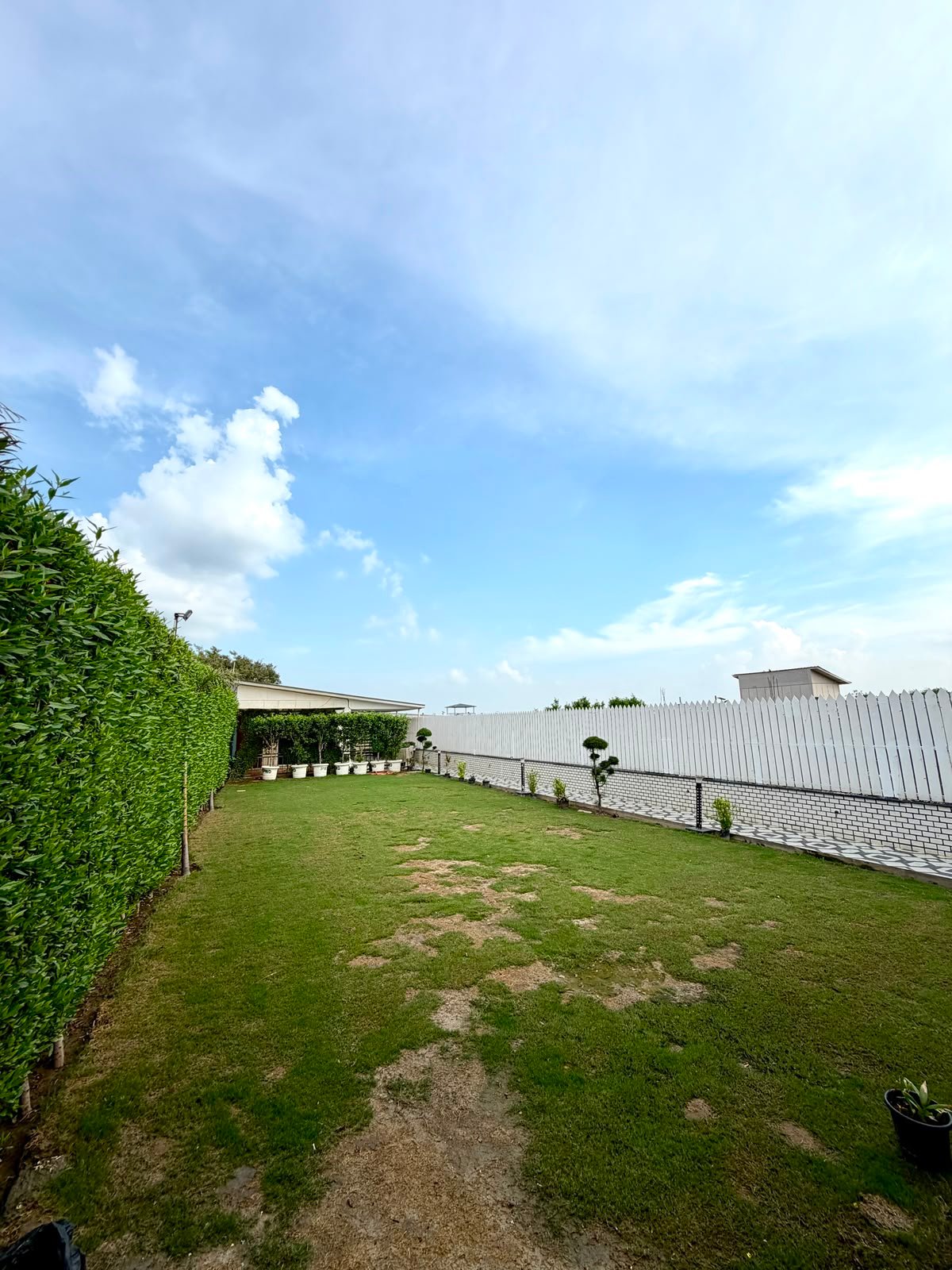 Spacious green lawn at The Yano Retreat